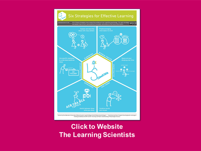Website_Learning Scientists.png